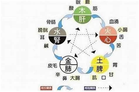 五行水弱|五行缺水的人注意什么